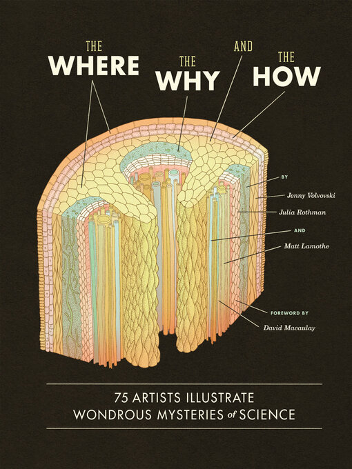 Title details for The Where, the Why, and the How by Jenny Volvovski - Available